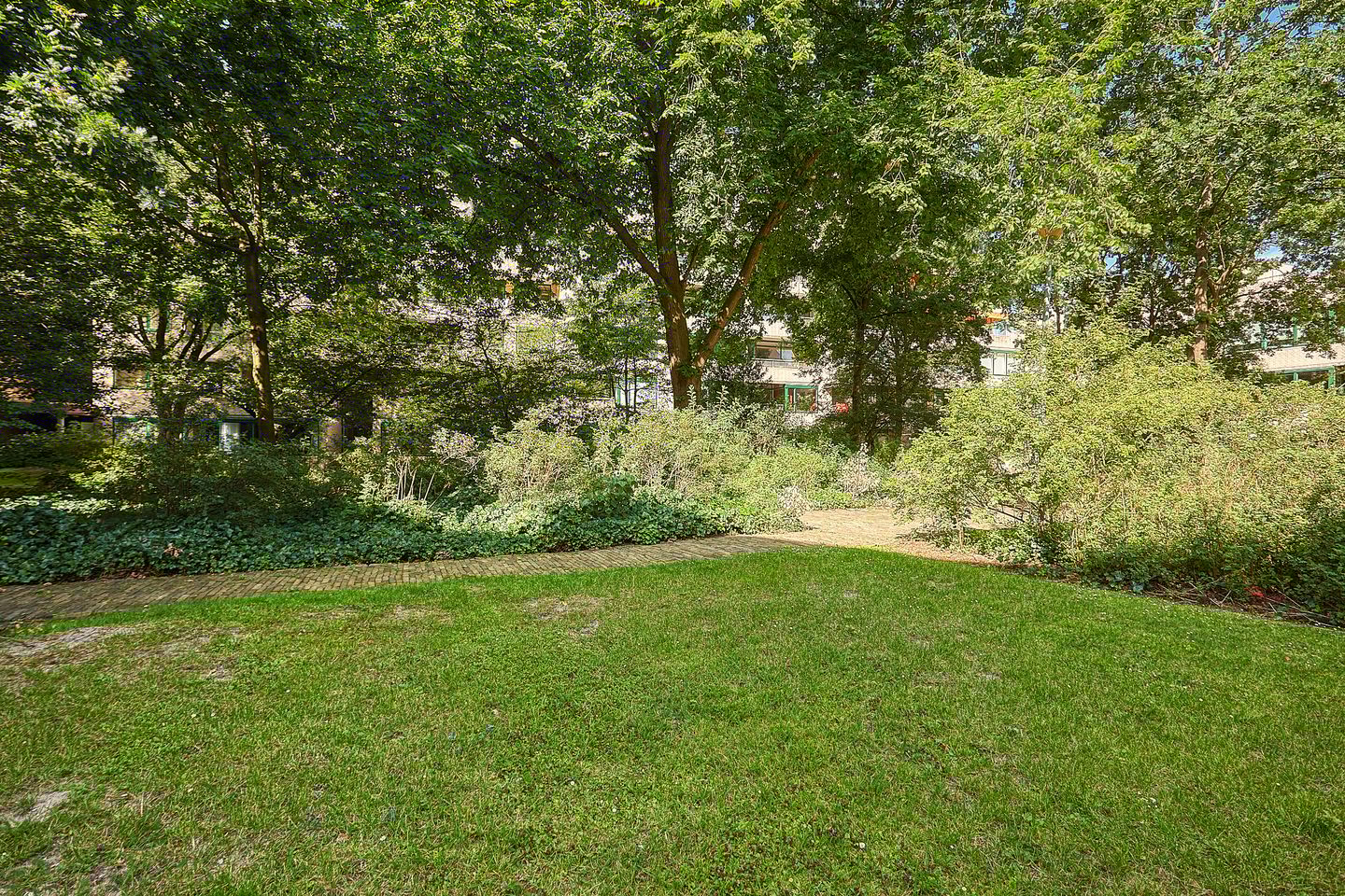 Photo 20 of Burgemeester Patijnlaan 500