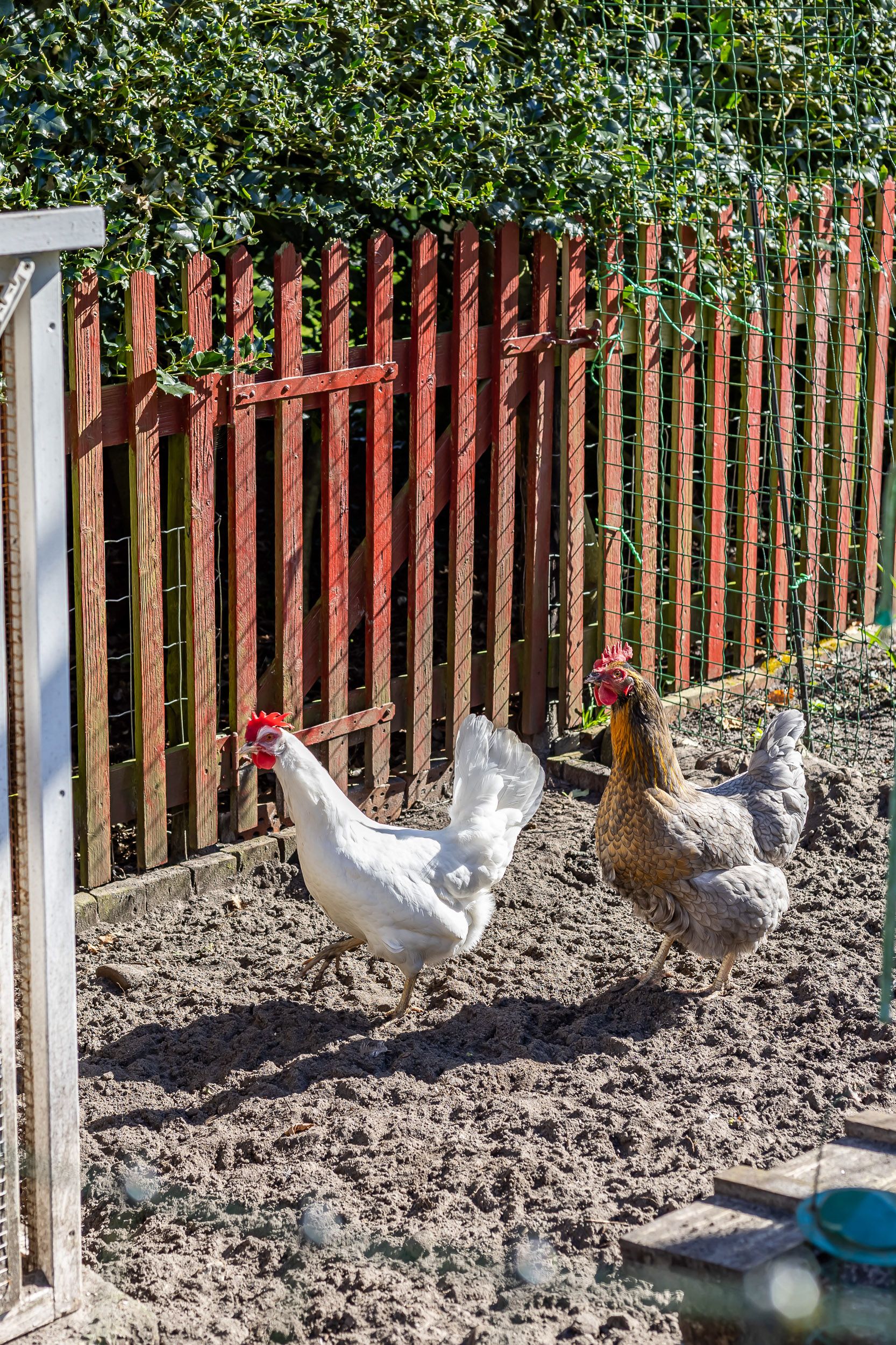 Foto 57 van Spaltenbrêge 2