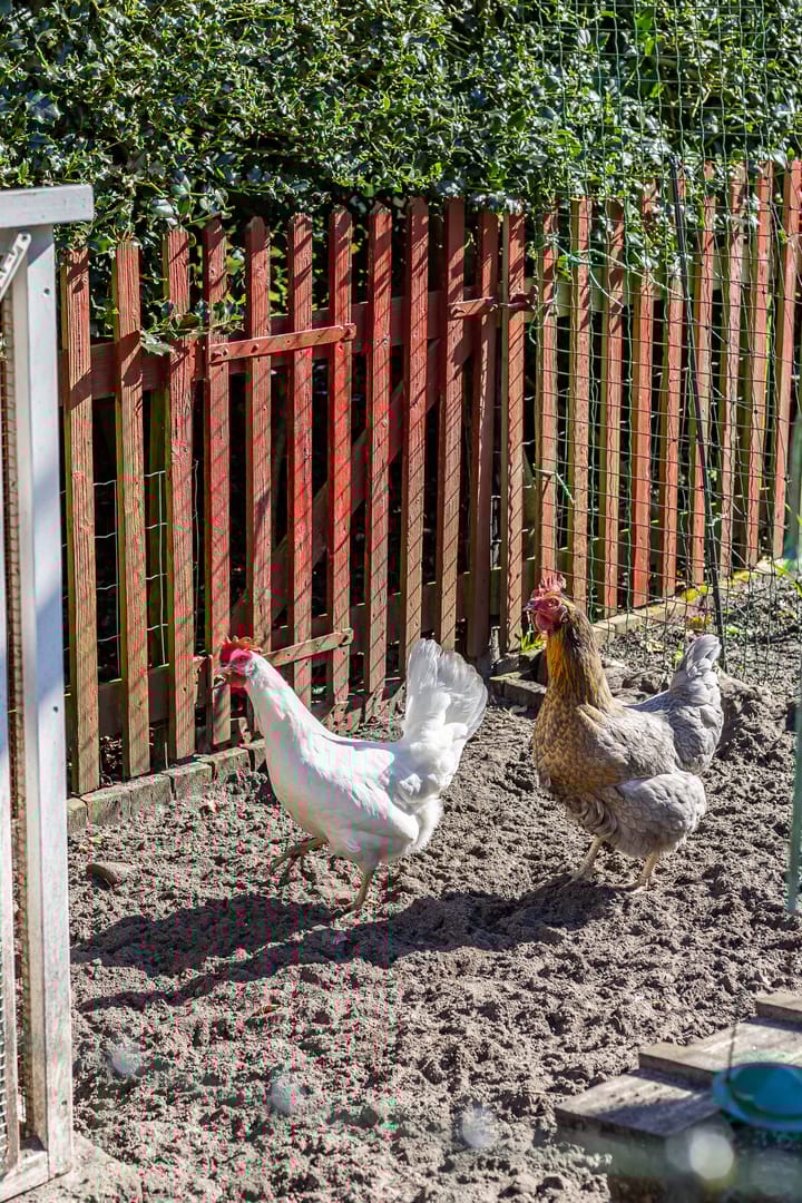 Foto 57 van Spaltenbrêge 2