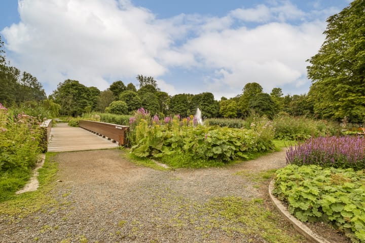 Foto 30 van Dintelstraat 14-1