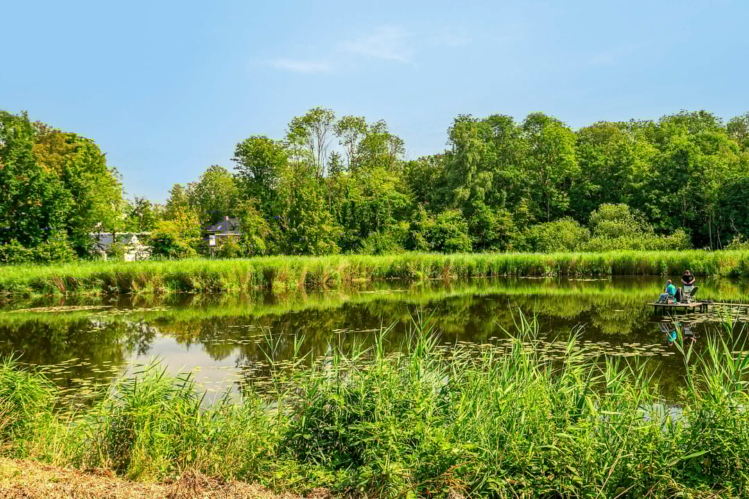 Photo 43 of Kinderdijk 5