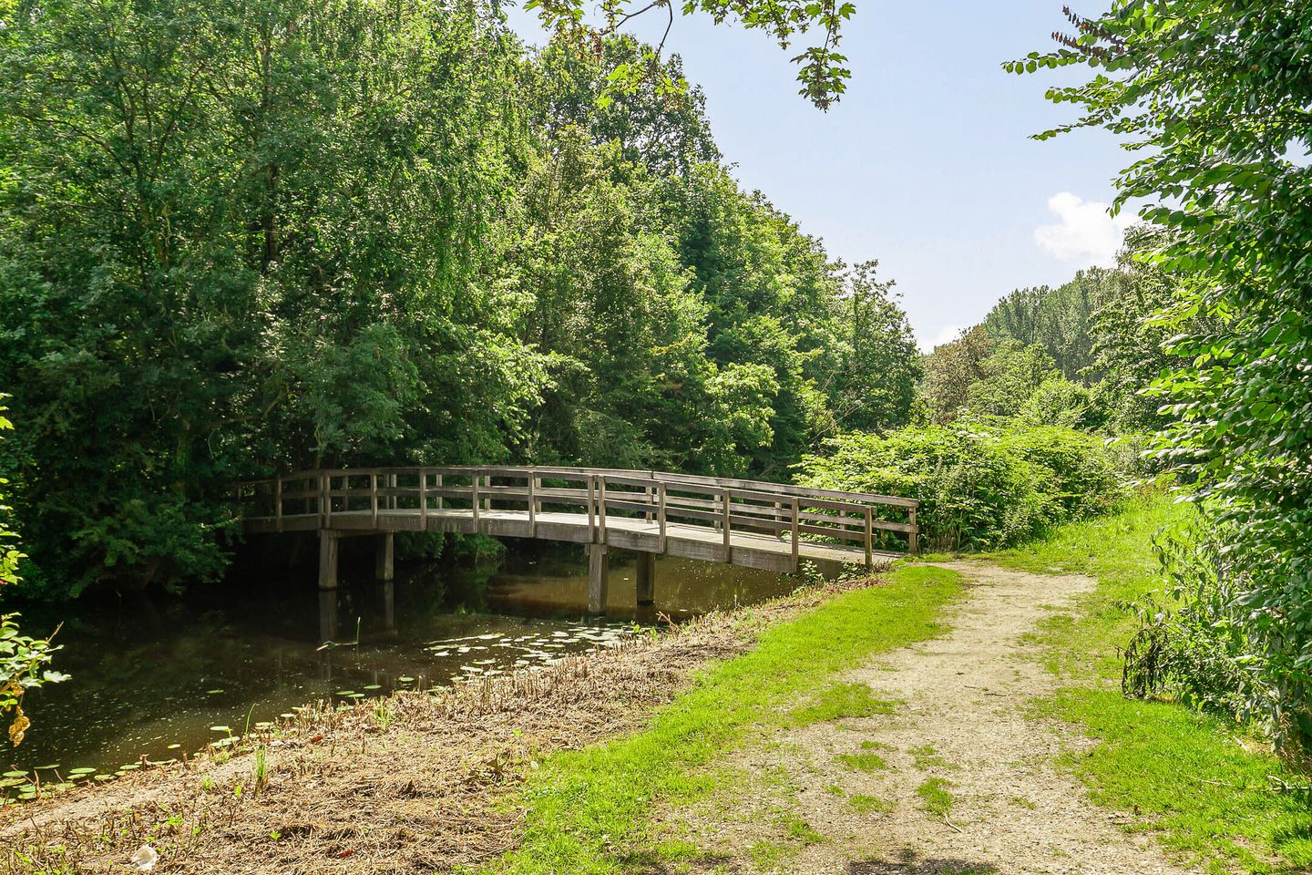 Photo 44 of Kinderdijk 5