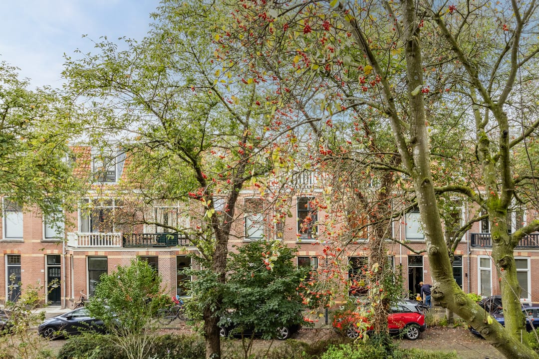 Photo 31 of Stadhouderslaan 31