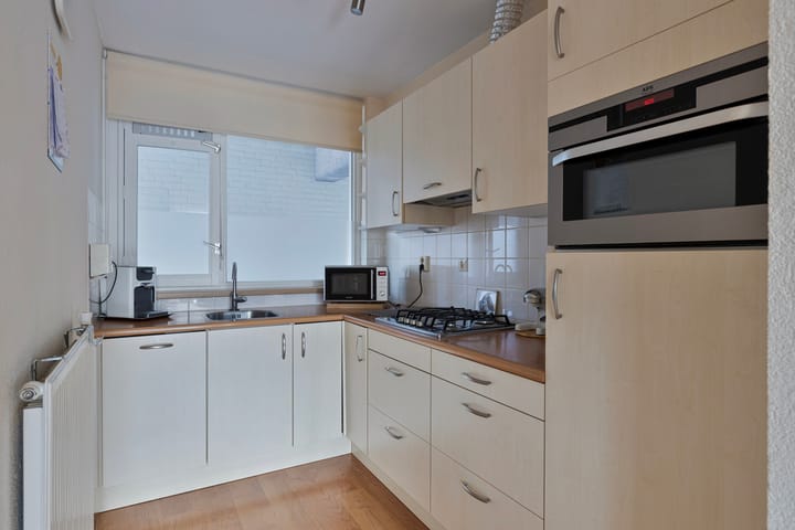 Foto 4 van Goudplevier 63