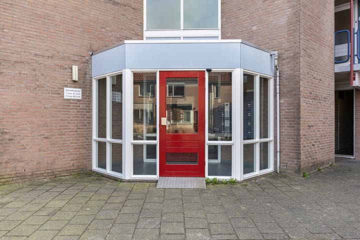 Foto 7 van Goudplevier 63