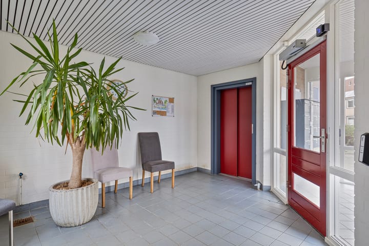 Foto 8 van Goudplevier 63