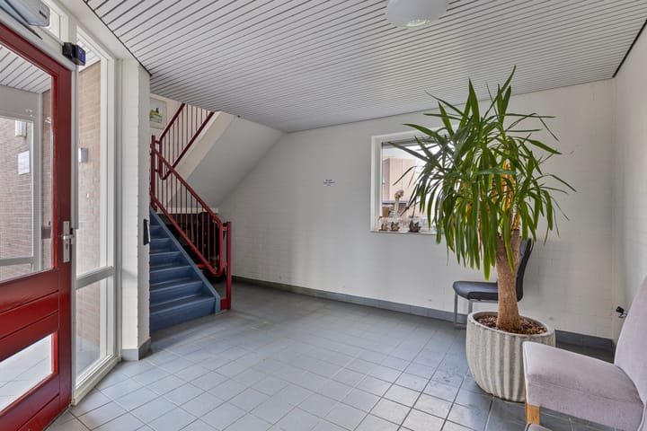 Foto 9 van Goudplevier 63