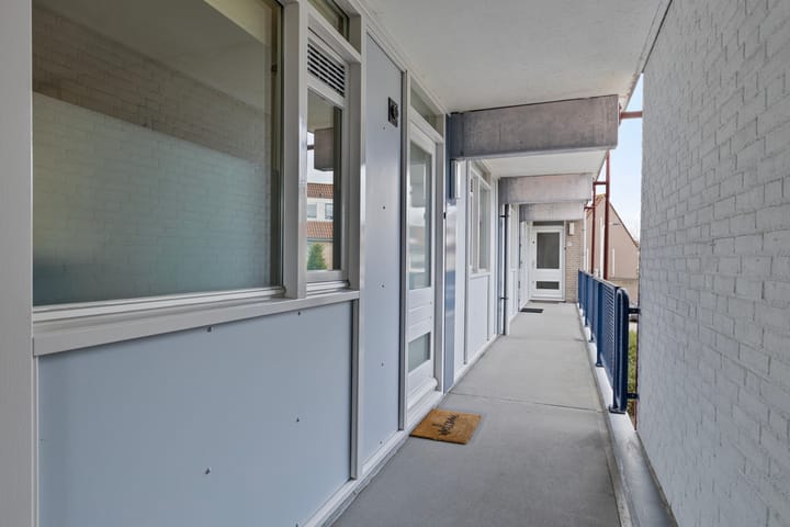 Foto 10 van Goudplevier 63