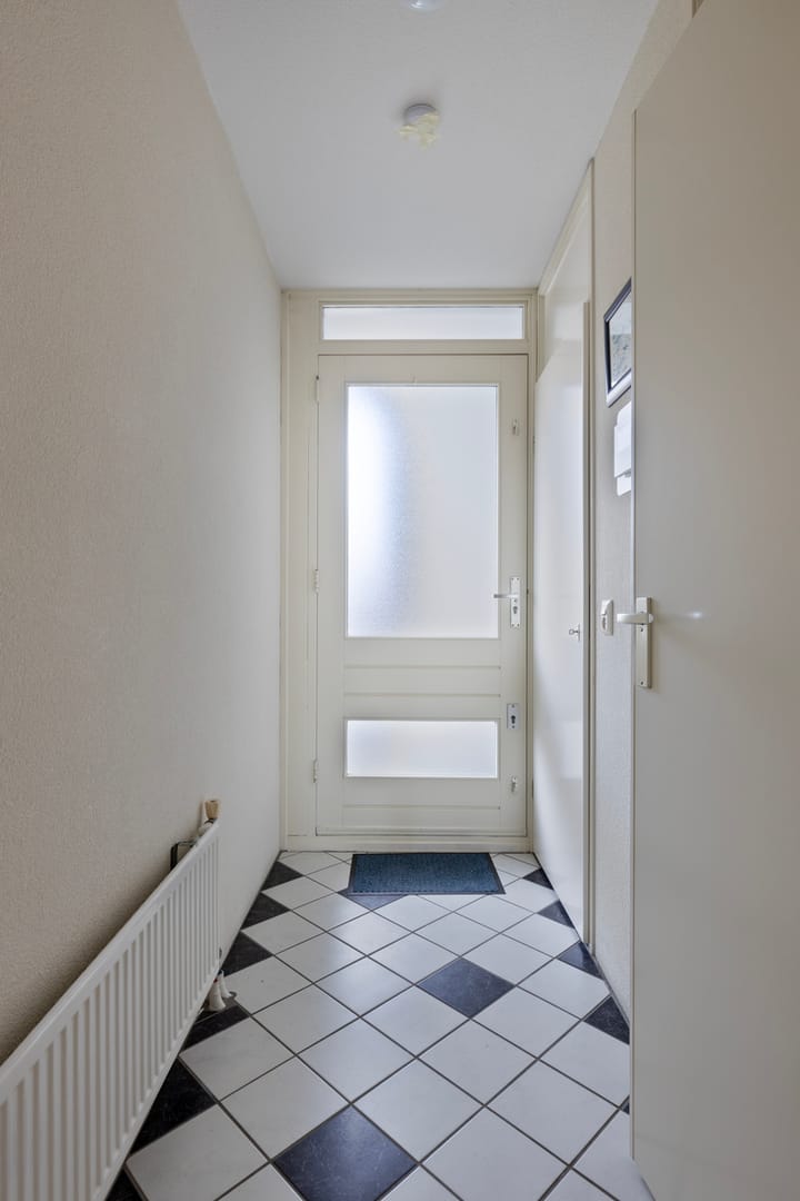 Foto 11 van Goudplevier 63