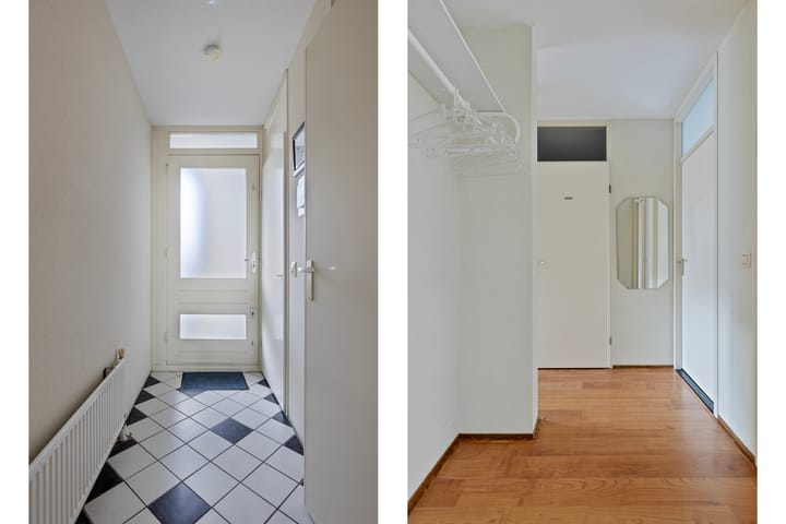 Foto 13 van Goudplevier 63