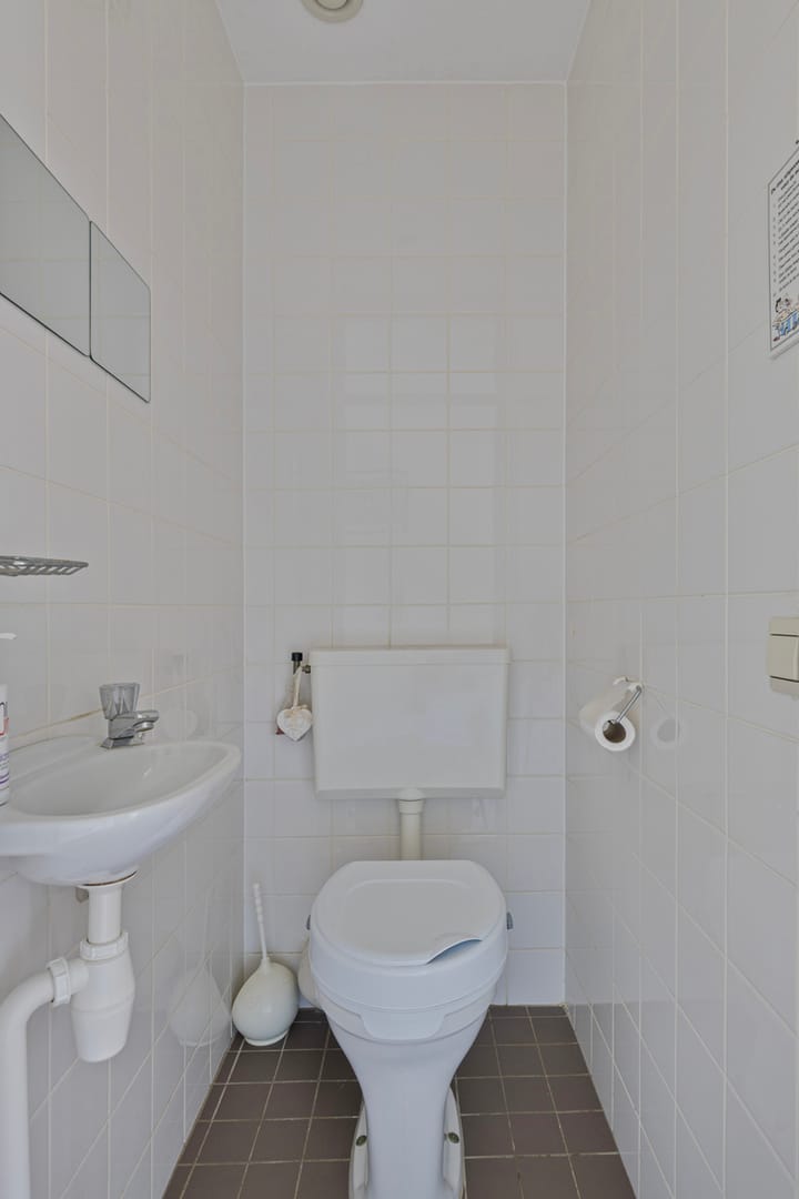 Foto 15 van Goudplevier 63