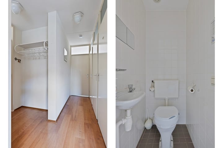 Foto 16 van Goudplevier 63