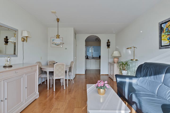 Foto 18 van Goudplevier 63