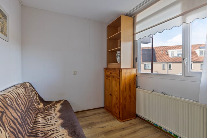 Foto 24 van Goudplevier 63