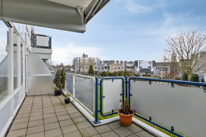 Foto 26 van Goudplevier 63