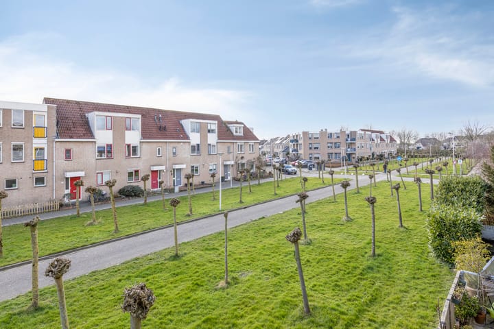 Foto 29 van Goudplevier 63