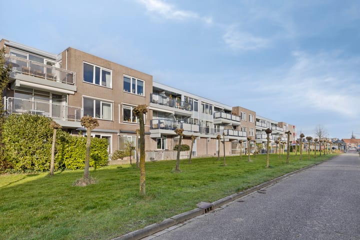 Foto 31 van Goudplevier 63