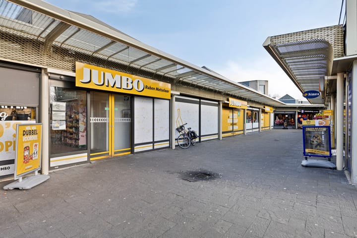 Foto 32 van Goudplevier 63