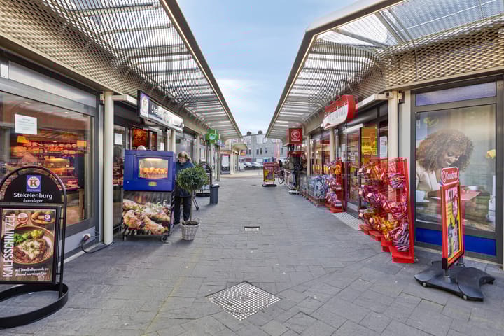 Foto 33 van Goudplevier 63