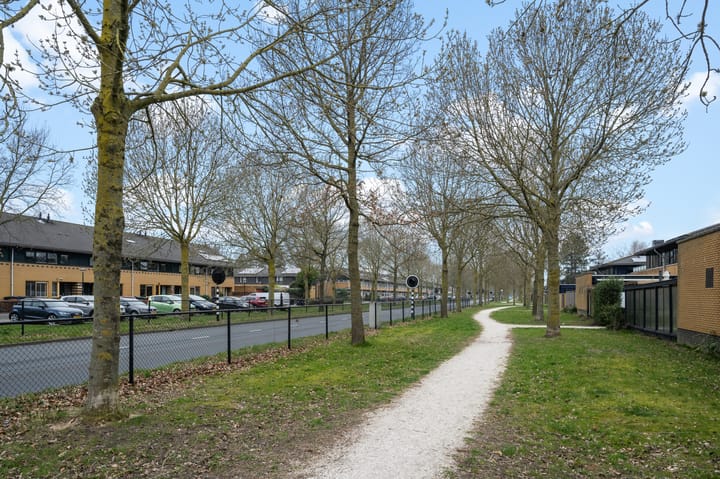 Foto 45 van Meistraat 11