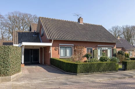 undefined main image