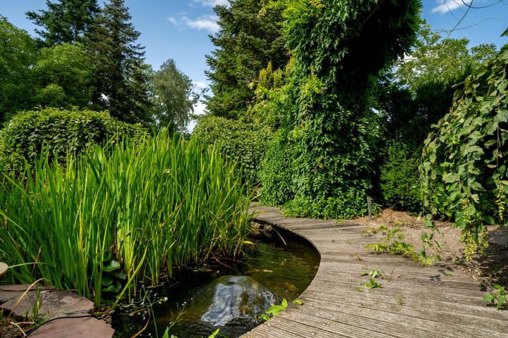 Foto 19 van Smeetsberg 4