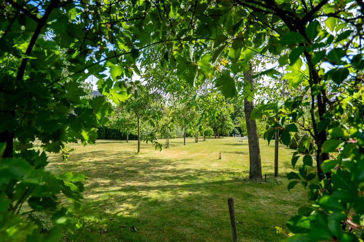 Foto 29 van Smeetsberg 4