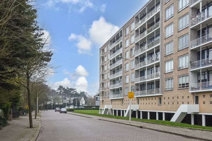 Foto 4 van Van Alkemadelaan 874