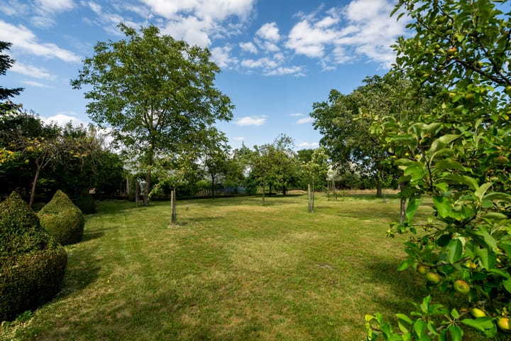 Foto 35 van Smeetsberg 4