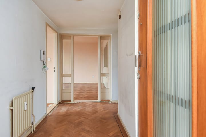 Foto 11 van Van Alkemadelaan 874