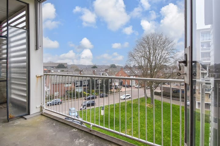 Foto 35 van Van Alkemadelaan 874