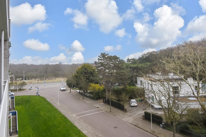 Foto 37 van Van Alkemadelaan 874