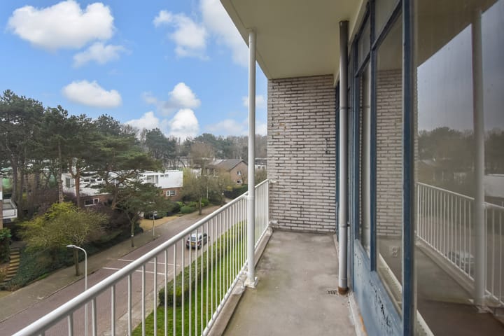 Foto 38 van Van Alkemadelaan 874