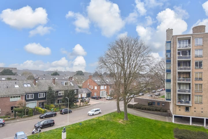 Foto 40 van Van Alkemadelaan 874