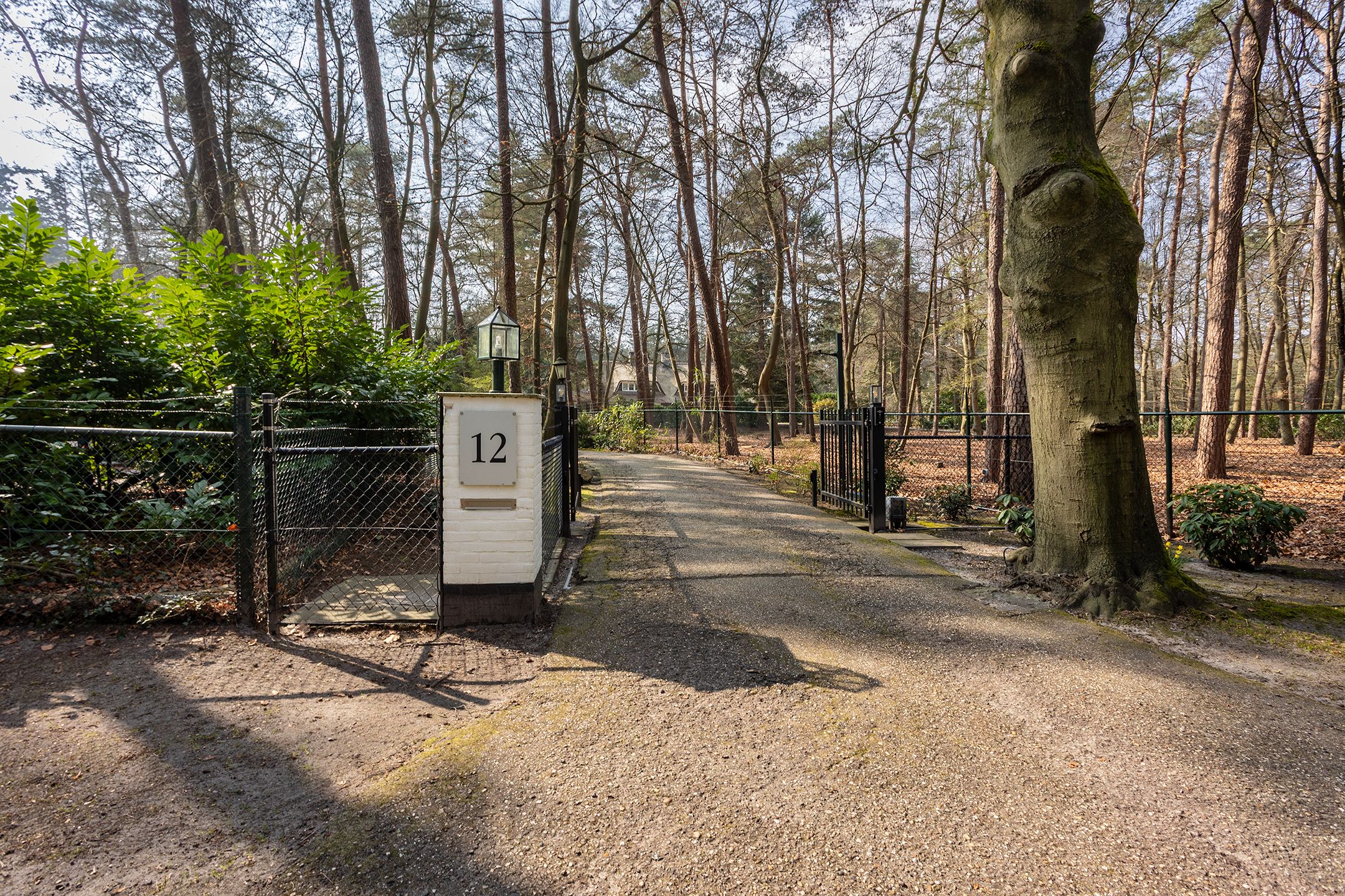 Foto 54 van Arubalaan 12