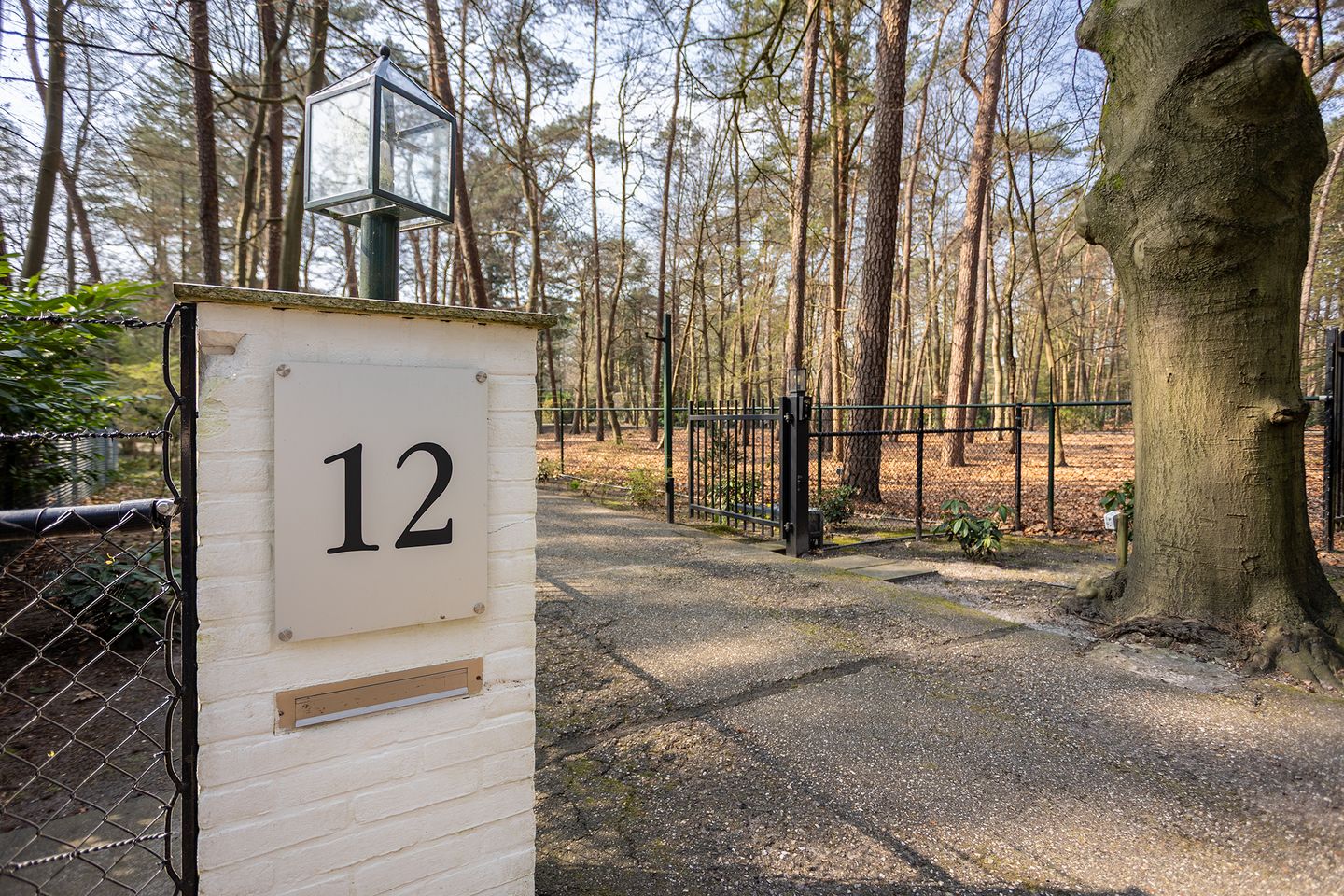 Foto 55 van Arubalaan 12