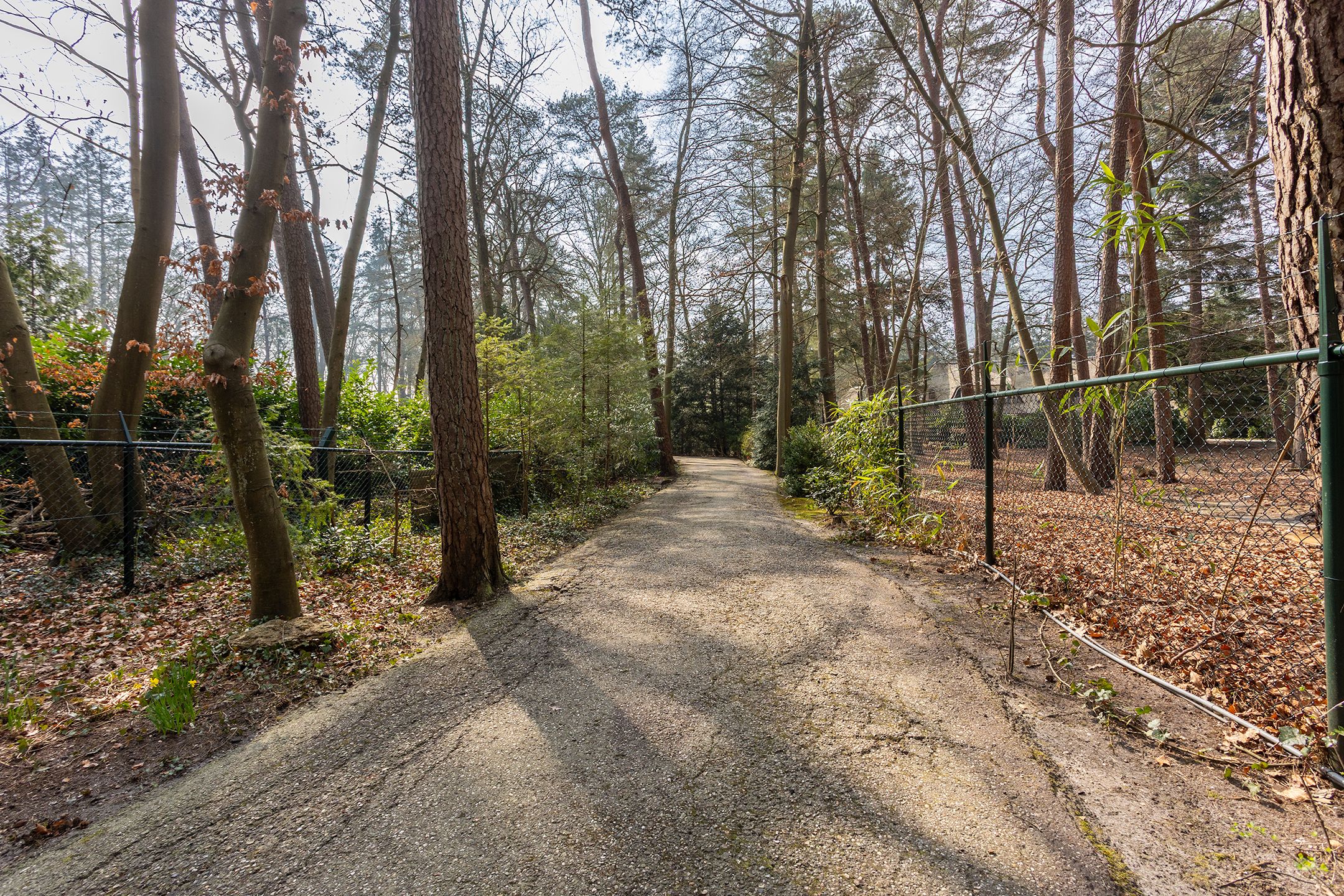 Foto 57 van Arubalaan 12