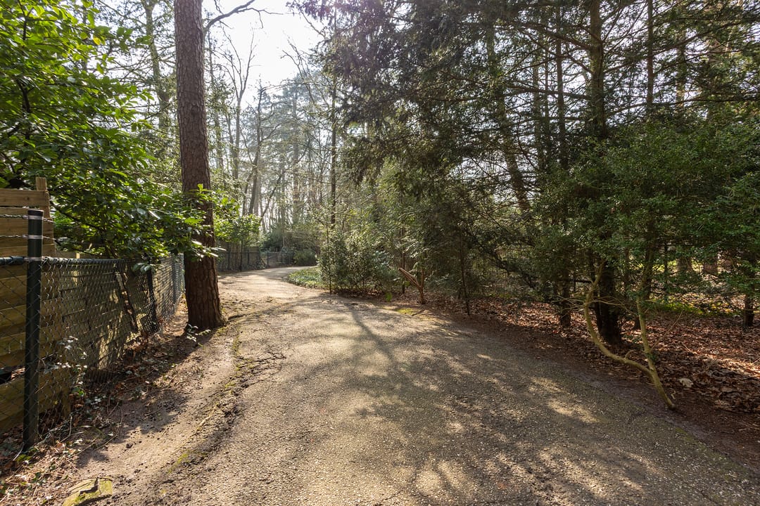 Foto 58 van Arubalaan 12