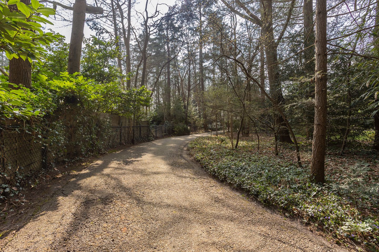 Foto 59 van Arubalaan 12