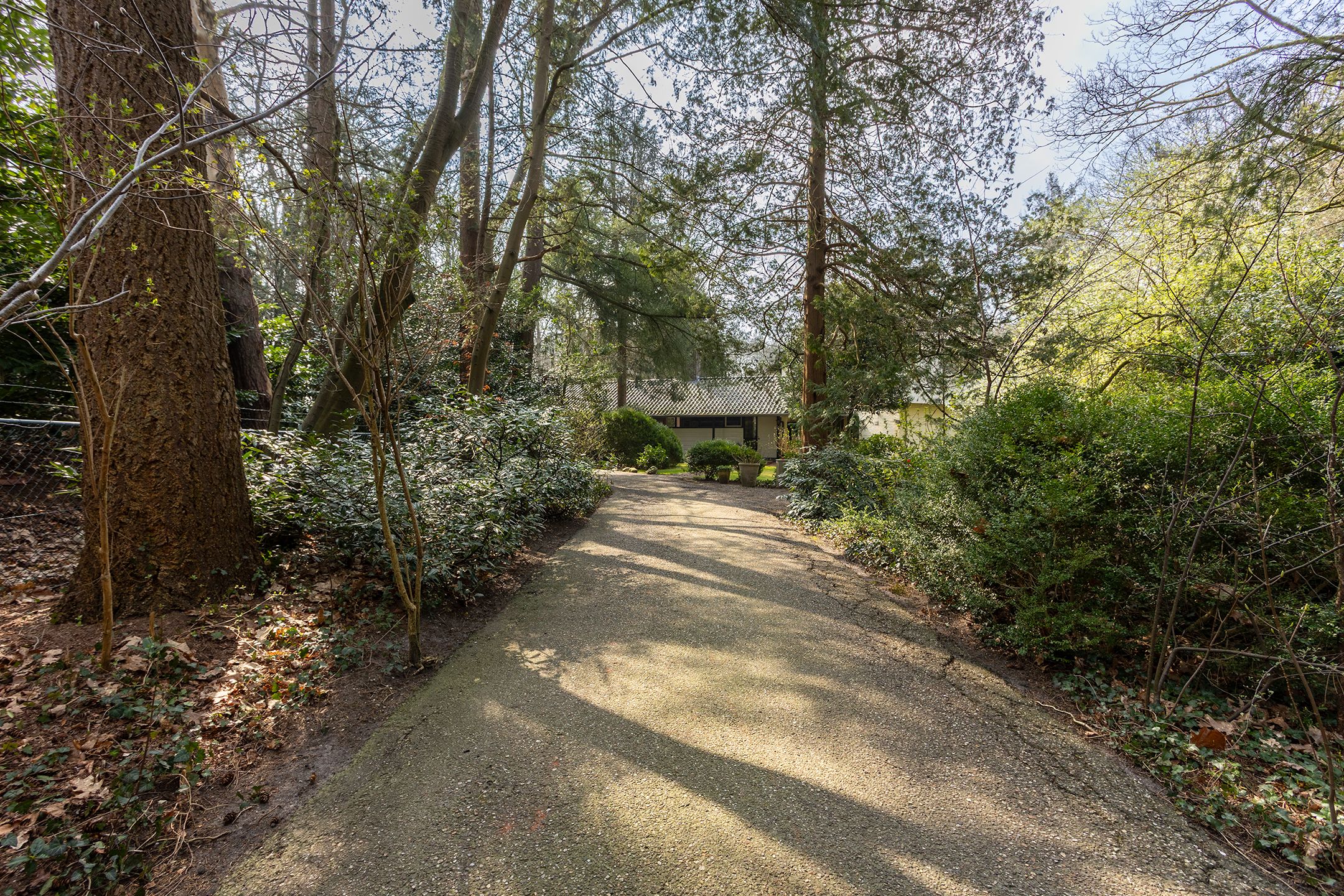 Foto 60 van Arubalaan 12