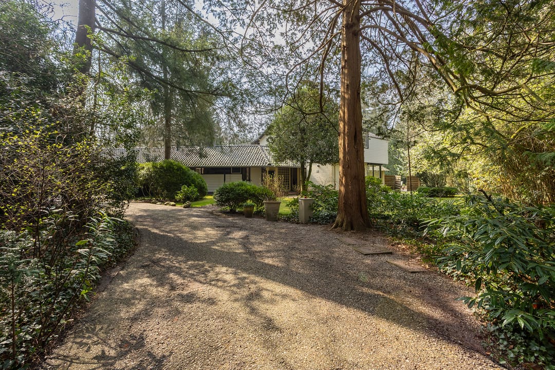 Foto 61 van Arubalaan 12