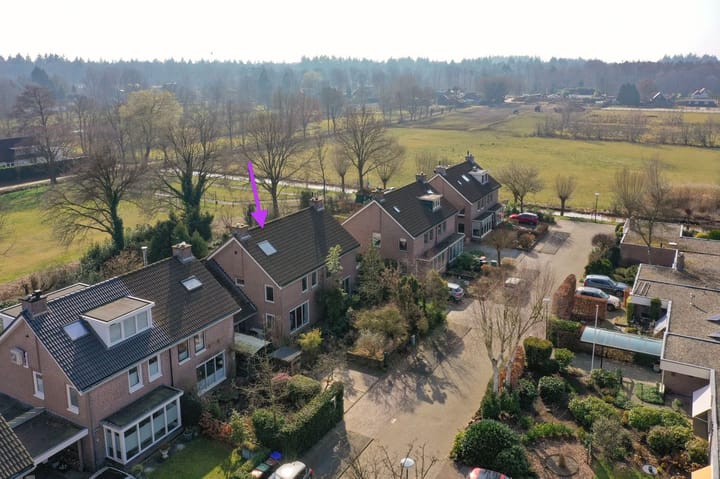 Bekijk foto van Honingbij 13