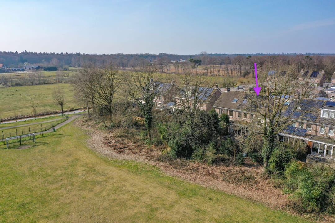 Foto 2 van Honingbij 13