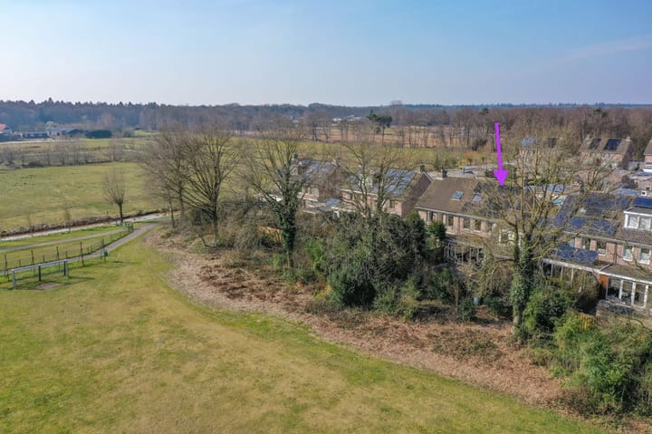 Foto 2 van Honingbij 13