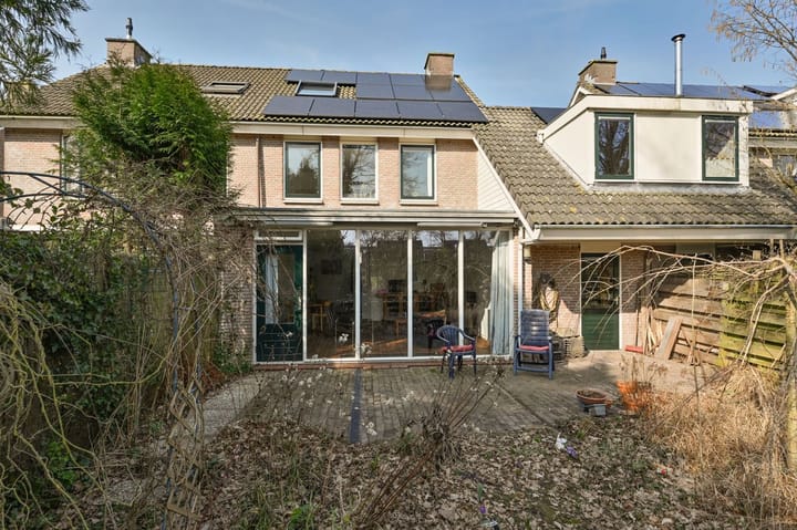 Foto 3 van Honingbij 13