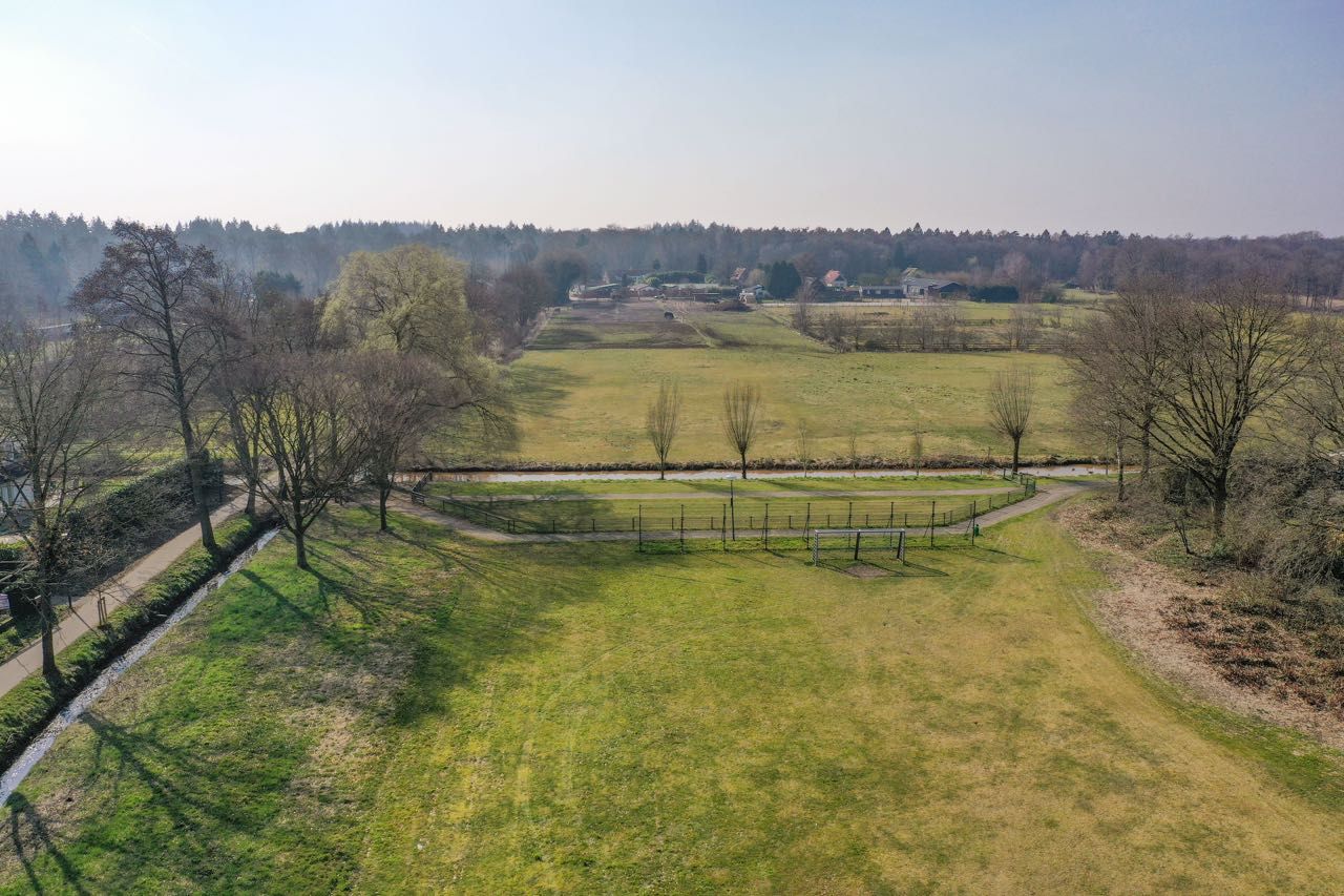 Foto 4 van Honingbij 13