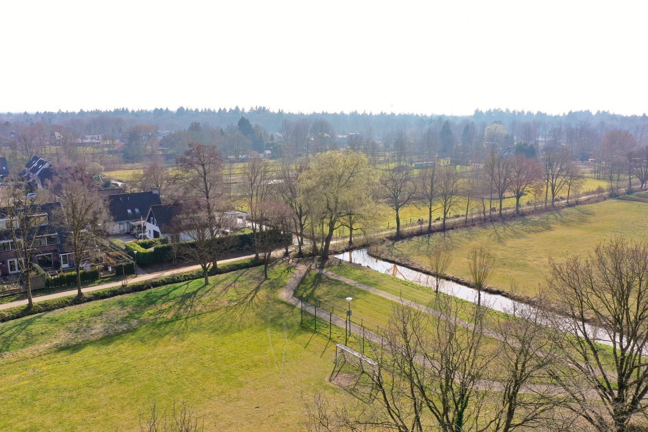 Foto 5 van Honingbij 13