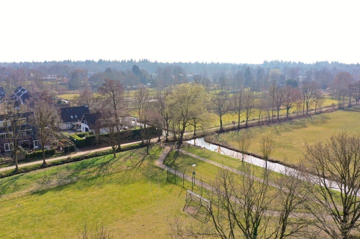 Foto 5 van Honingbij 13