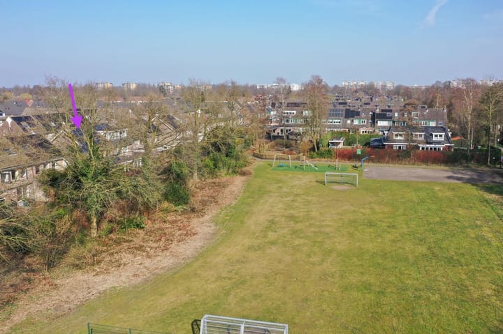 Foto 6 van Honingbij 13