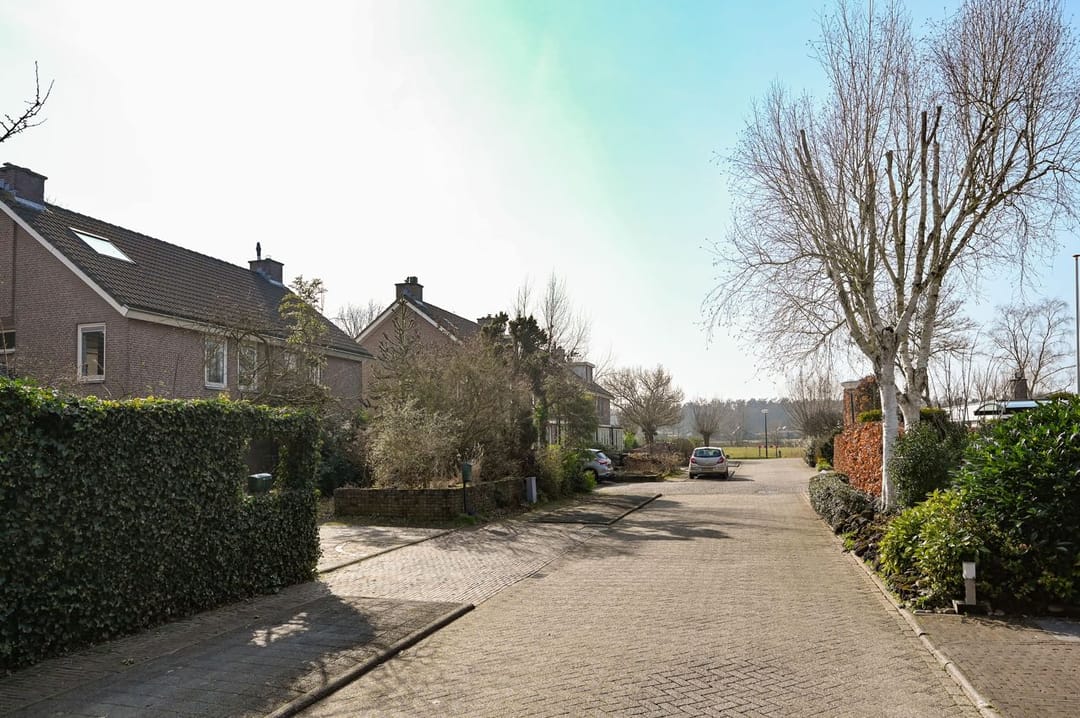 Foto 7 van Honingbij 13